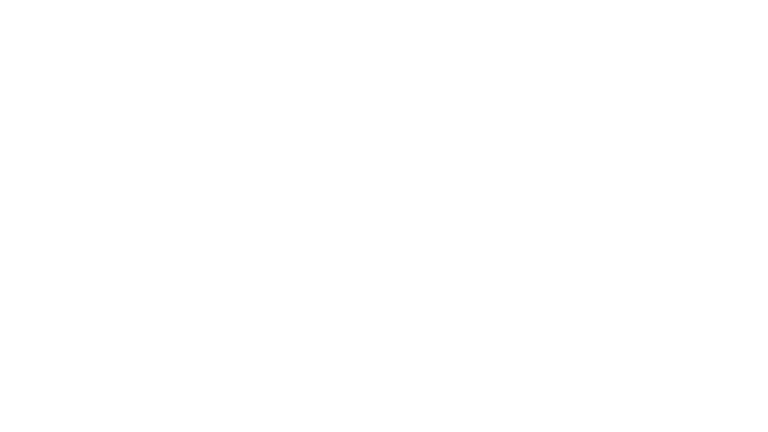 Zieglerfilm_logo